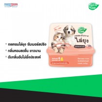 FreshTime เฟรชไทม์ เจลหอมไล่ยุง กลิ่น ซัมเมอร์สปริง ขนาด 180 กรัม